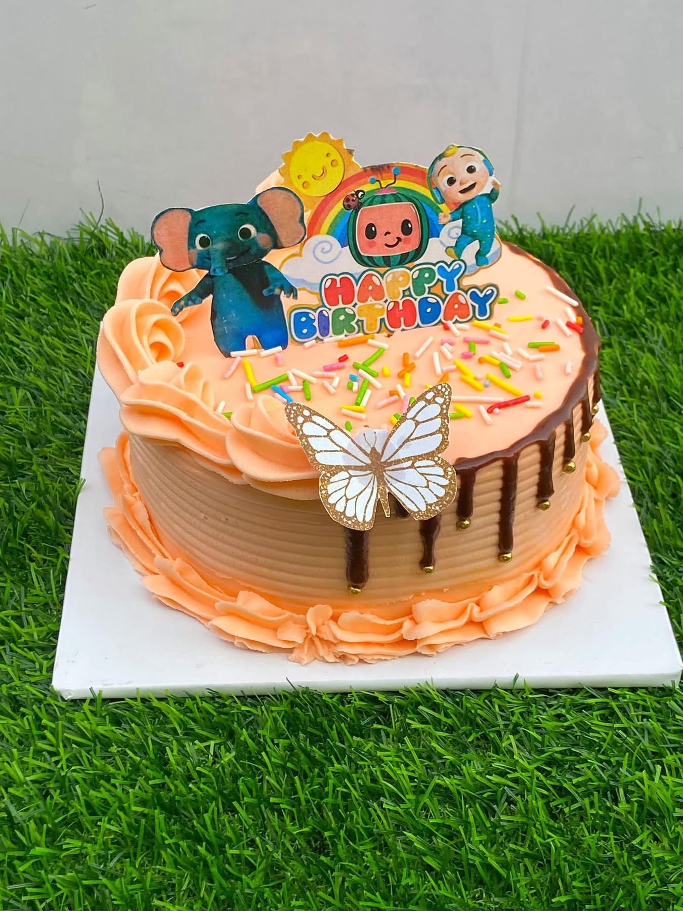 Colorful birthday cake with cartoon characters and a butterfly decoration on a green grass background.